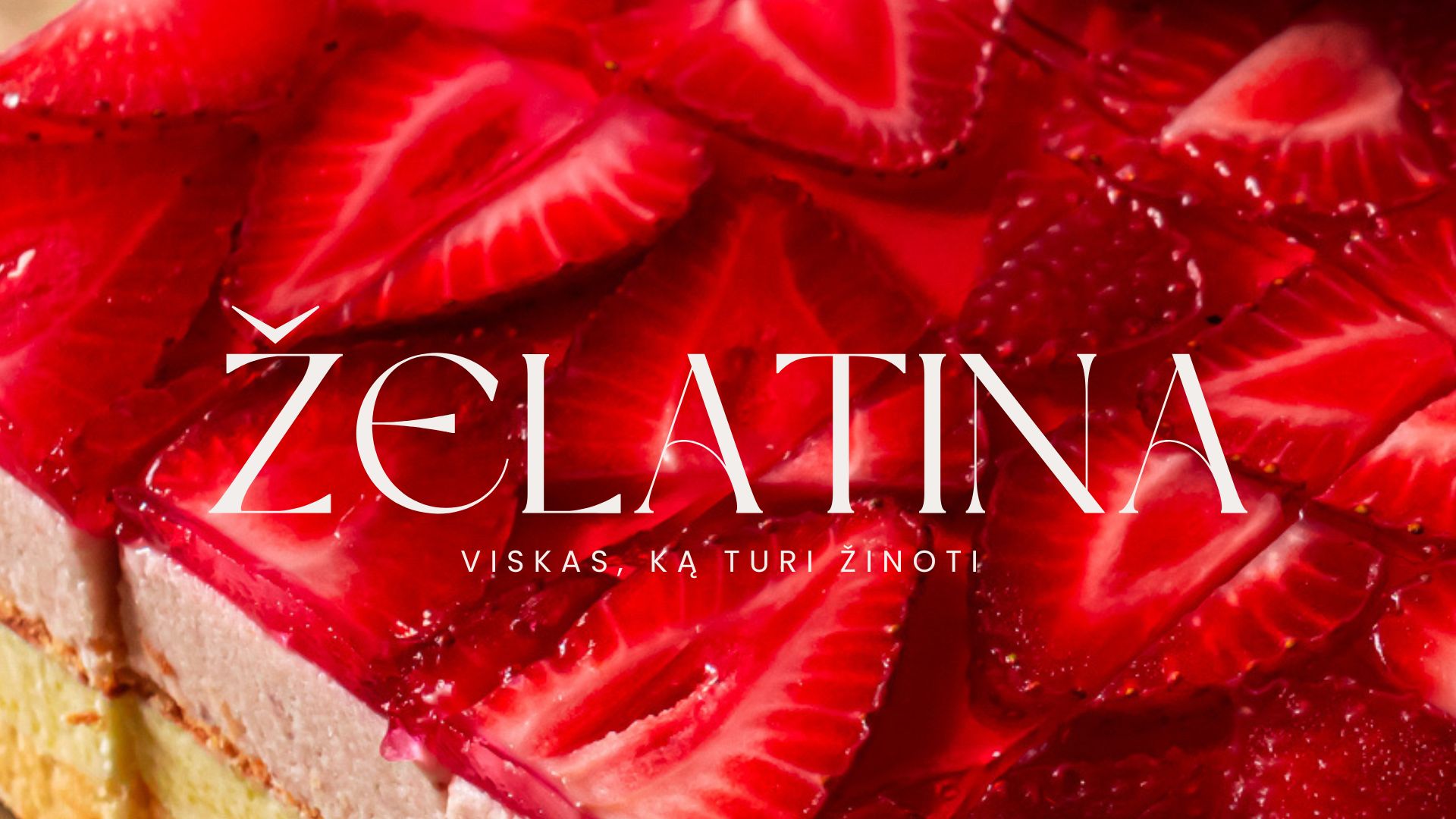 E - gidas "Viskas apie želatiną"